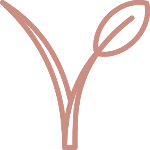 Product image with a clear background